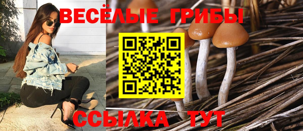 Ухта  Галлюциногенные грибы Magic Shrooms  Псилоцибиновые грибы Psilocybe  Вход с VPN 